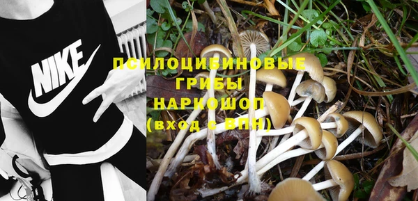 ешки Вяземский