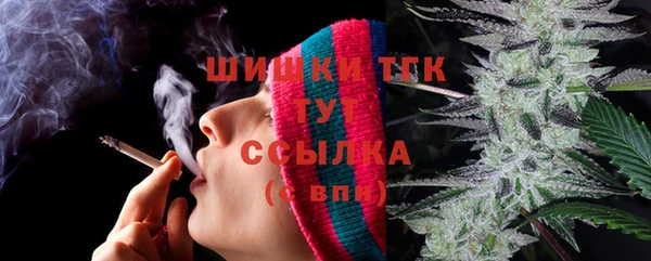 ешки Вяземский
