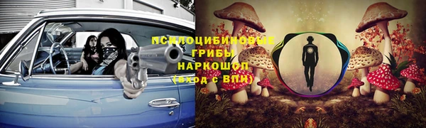 ешки Вяземский