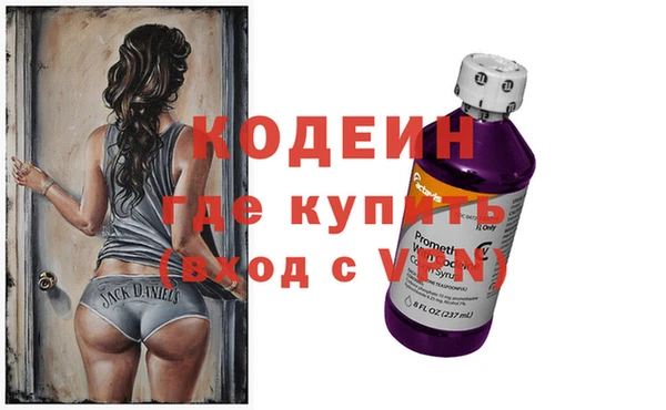 ешки Вяземский